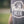 Wallhanger Tee